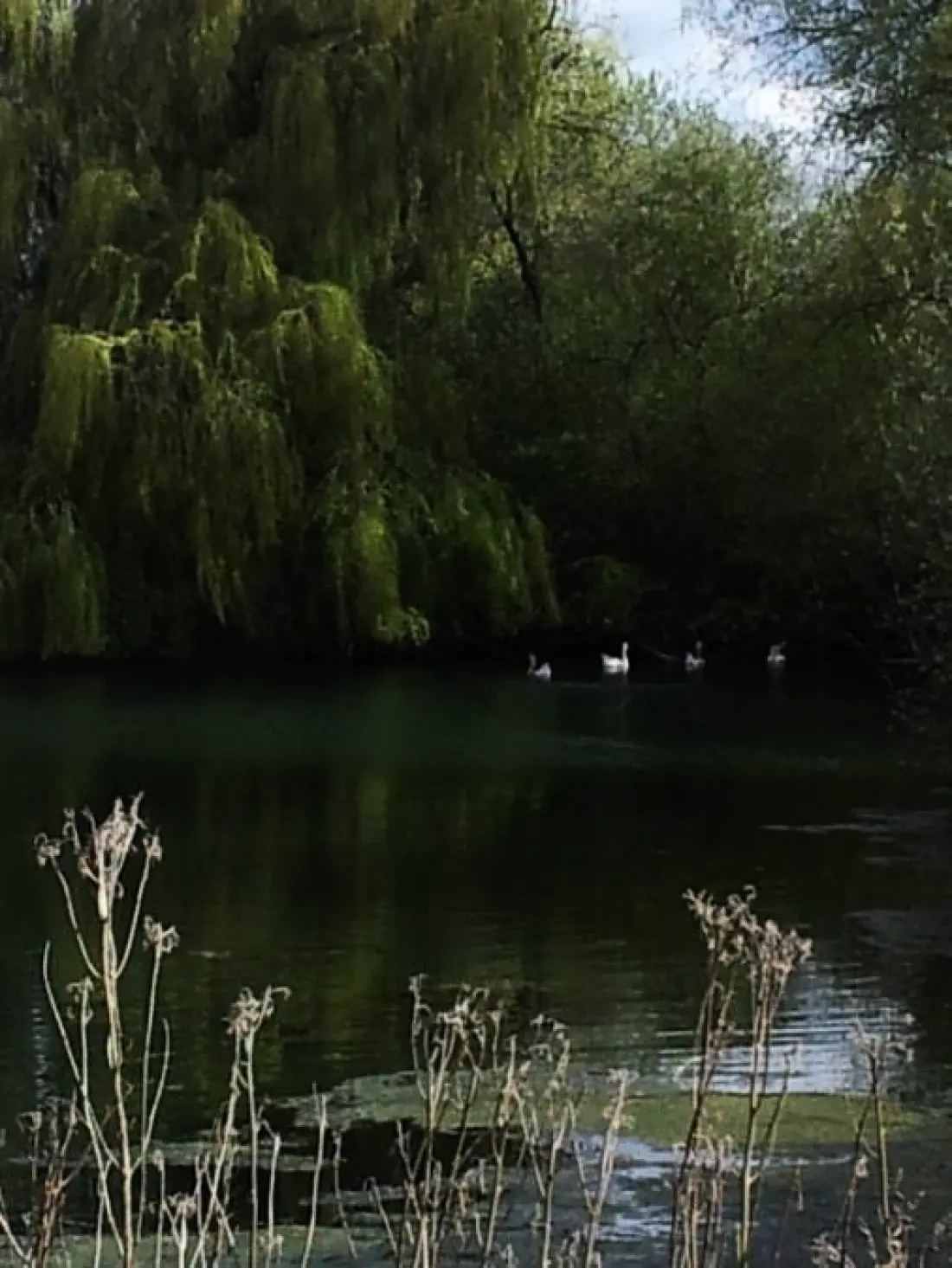 Camping Seasonova Les Marguerites 3 étoiles★★★