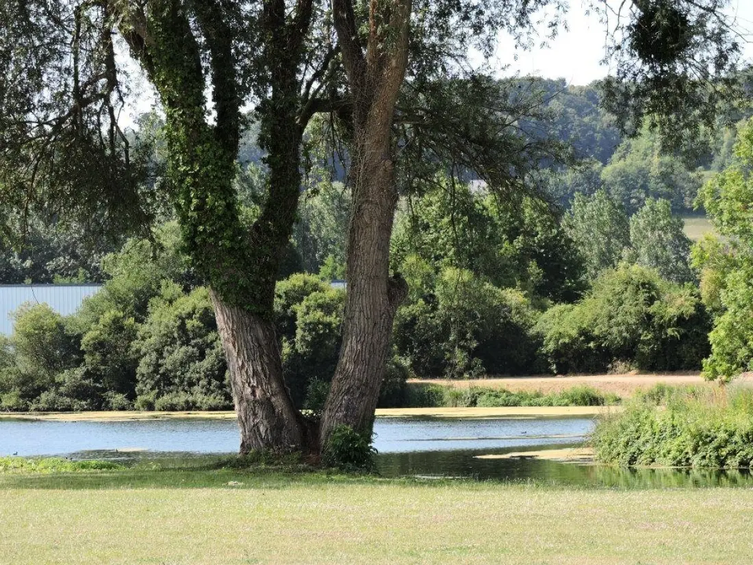 Camping Seasonova Les Marguerites 3 étoiles★★★