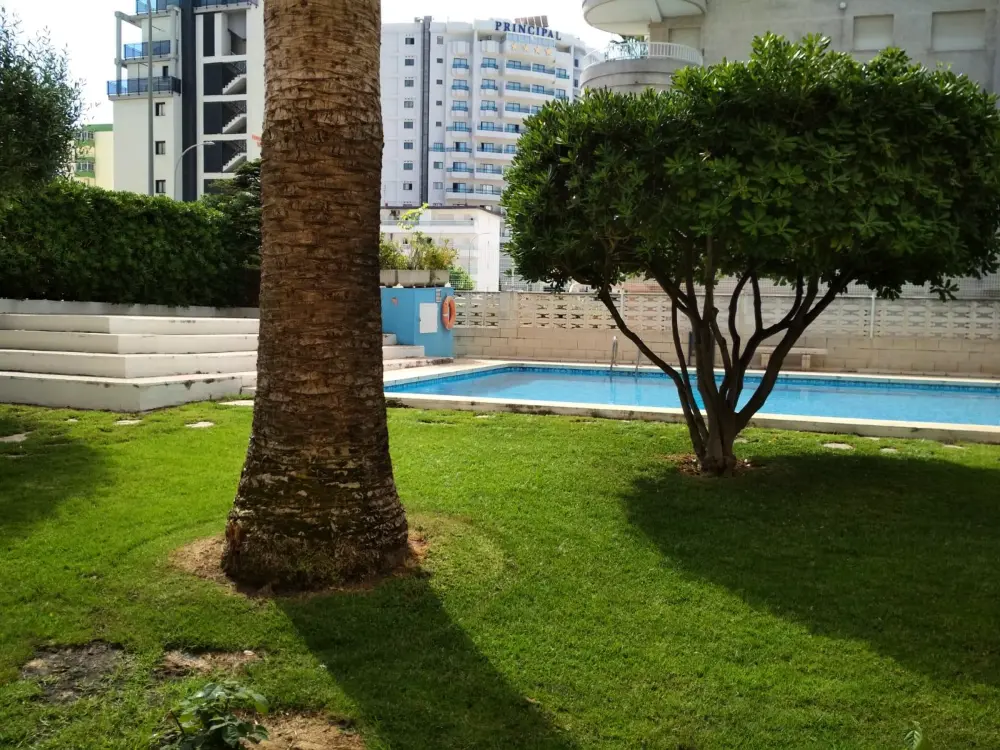 Location de Vacances Gandía 54