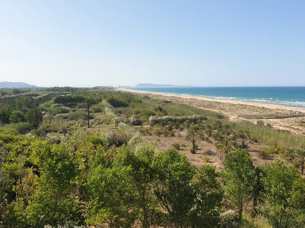 Location de Vacances Gandía 64
