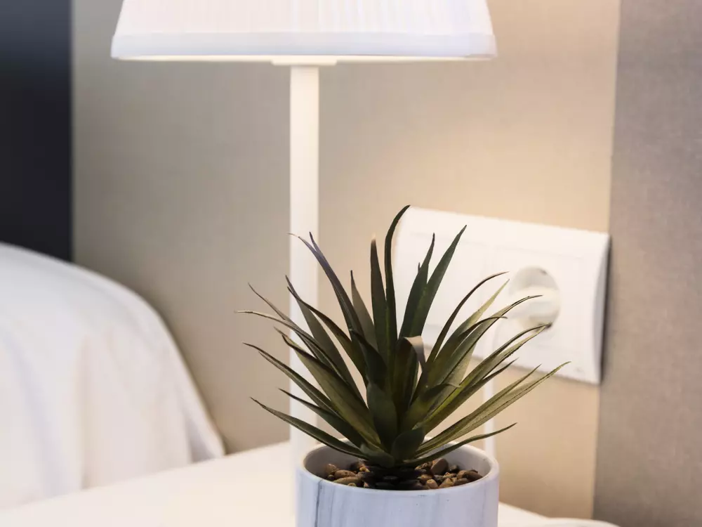 Location de Vacances Gandía 61