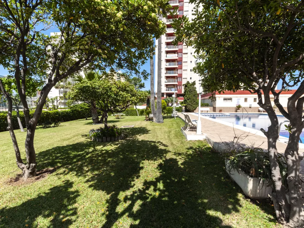 Location de Vacances Gandía 61