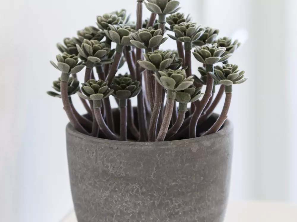 Location de Vacances Gandía 61