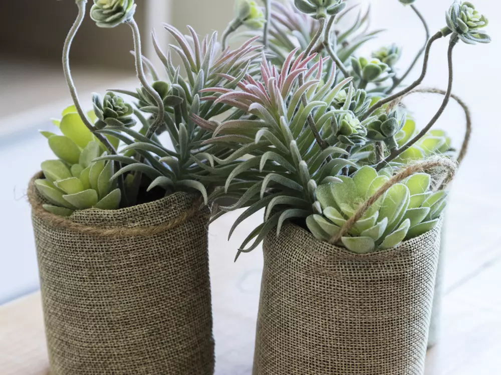 Location de Vacances Gandía 61