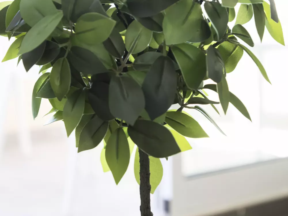 Location de Vacances Gandía 61