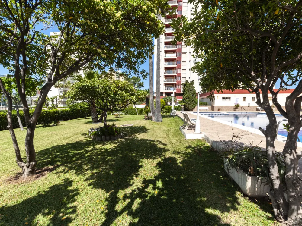 Location de Vacances Gandía 80