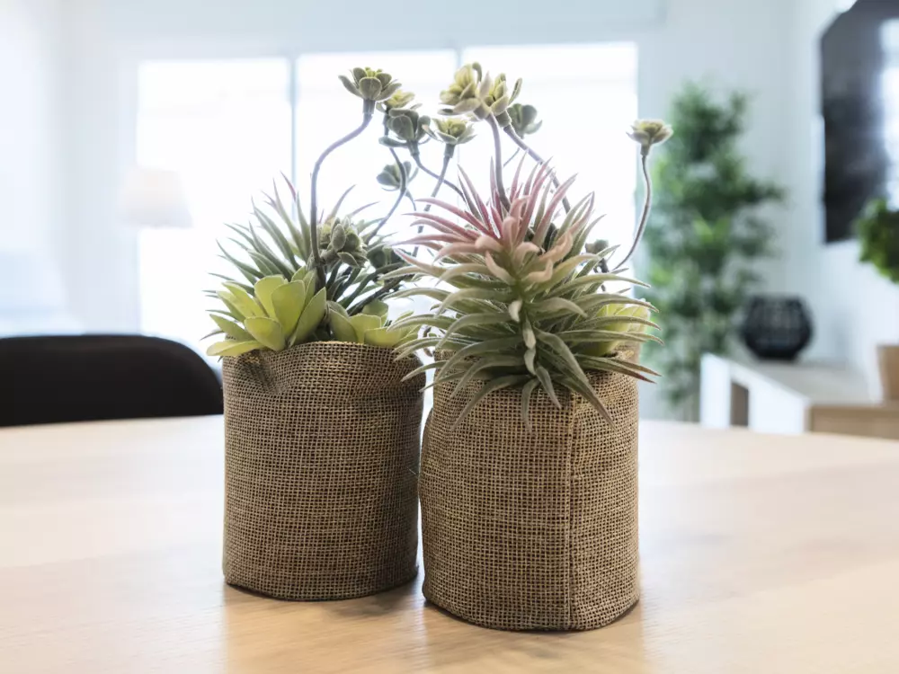 Location de Vacances Gandía 74