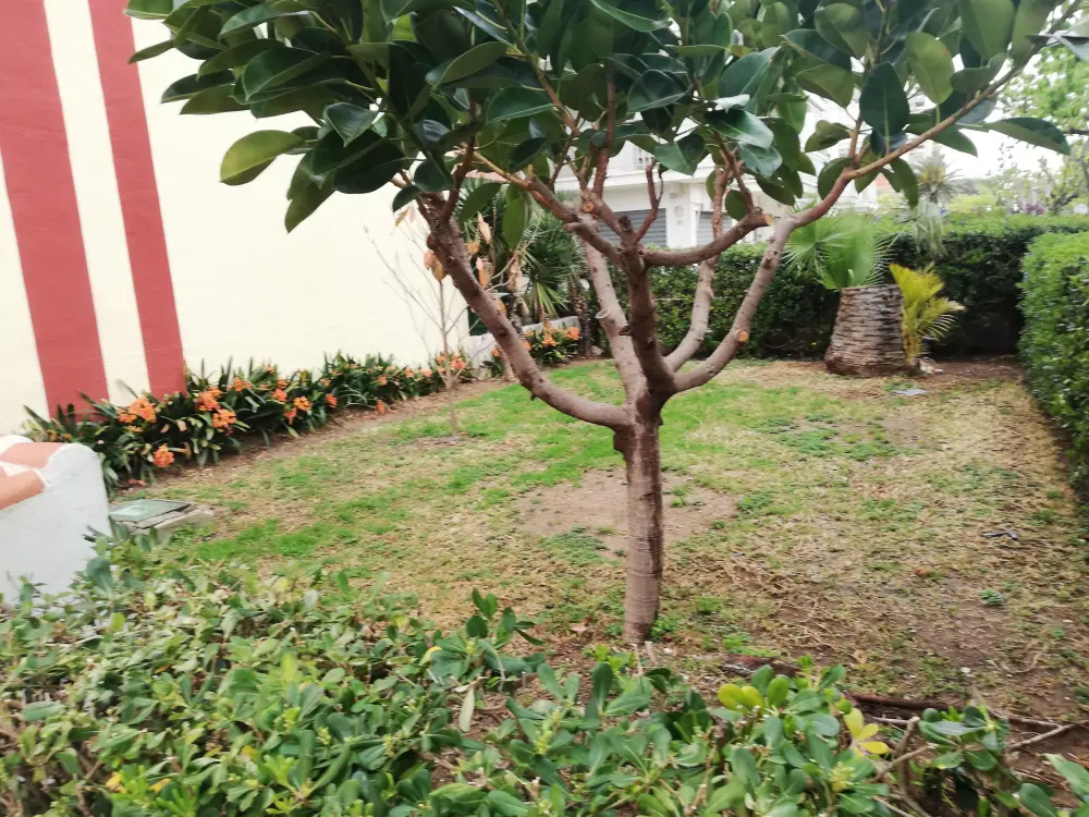Location de Vacances Gandía 28