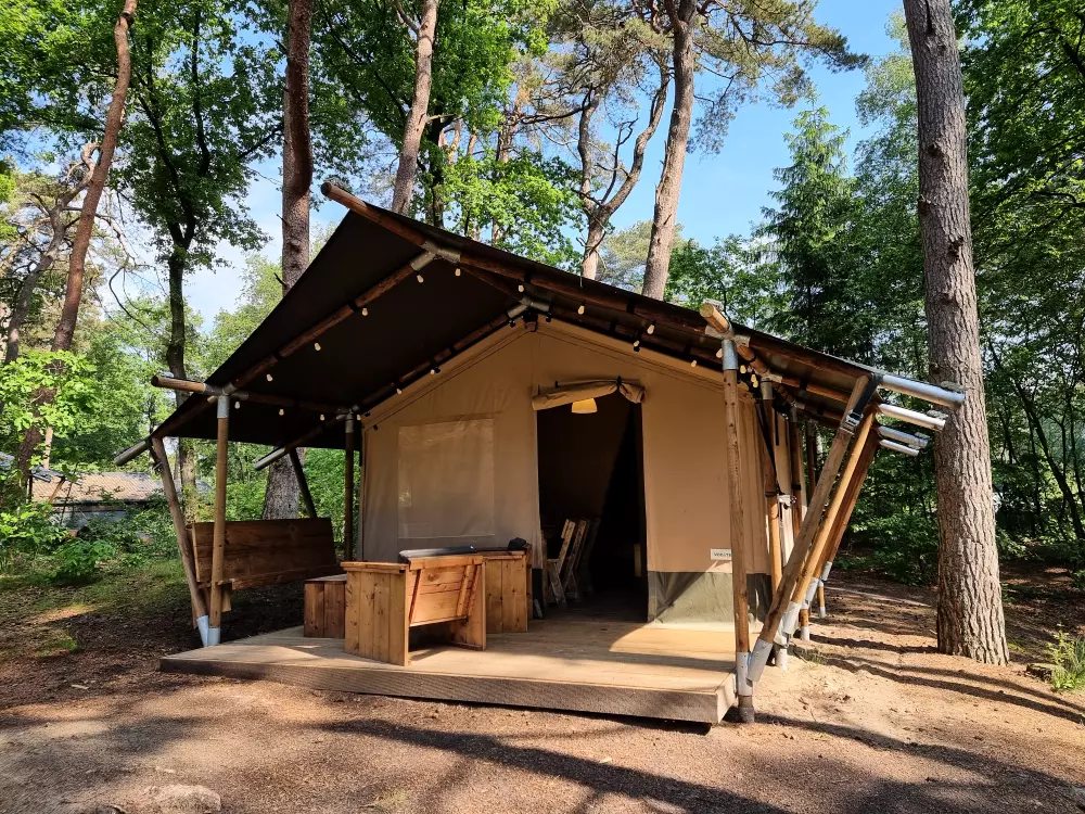 Camping het Horstmannsbos