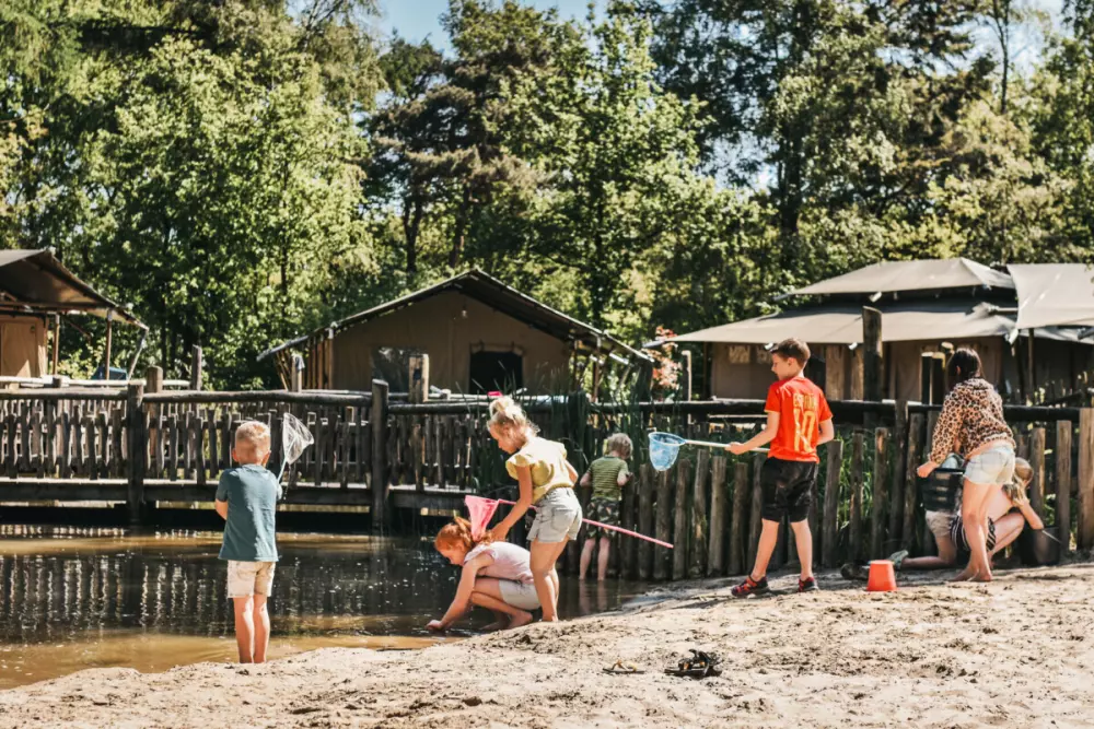 Camping het Horstmannsbos