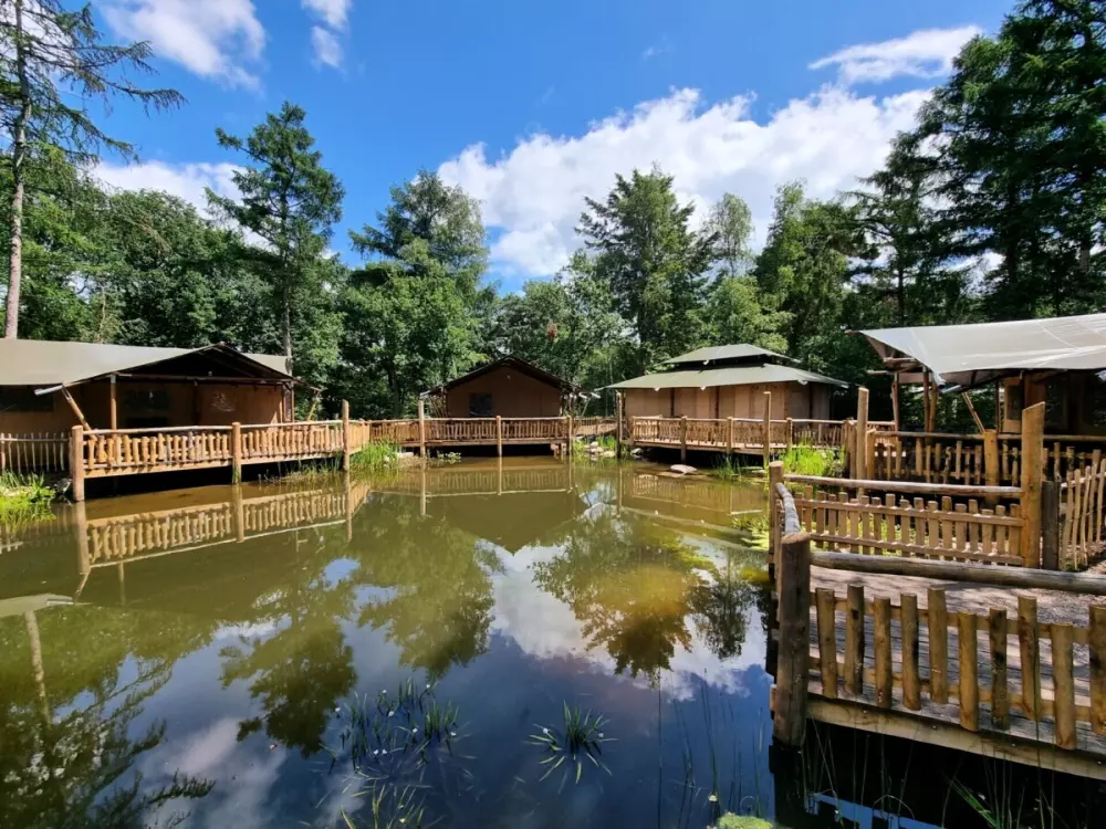 Camping het Horstmannsbos