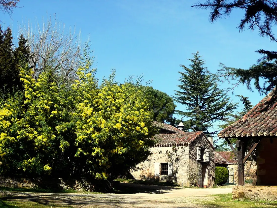 Maison de Vacances Gavaudun