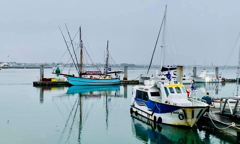 Gîte de France L'effet mer 3 épis - - Gâvres - Morbihan - 29
