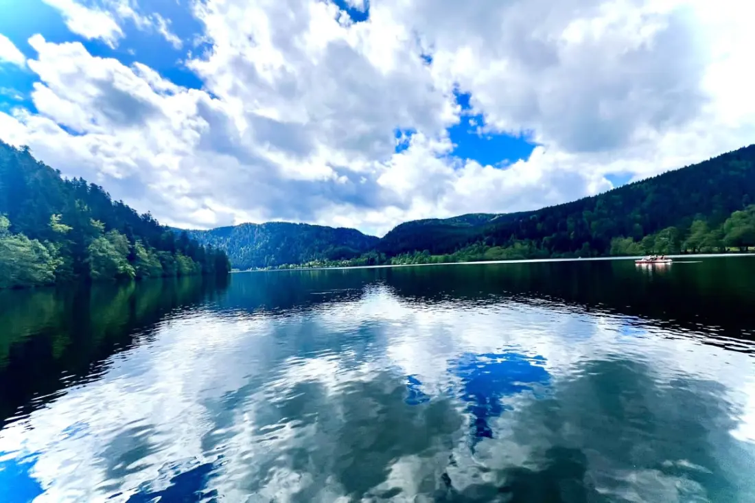 Appartement Haut-de-gamme Au Centre De Gérardmer