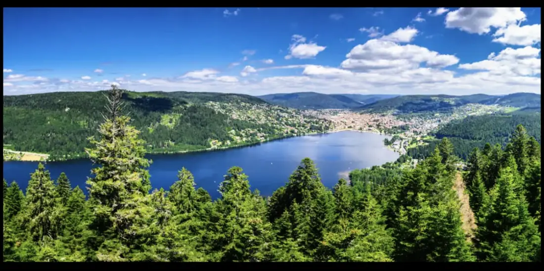 Appartement De Prestige Au Cœur De Gérardmer
