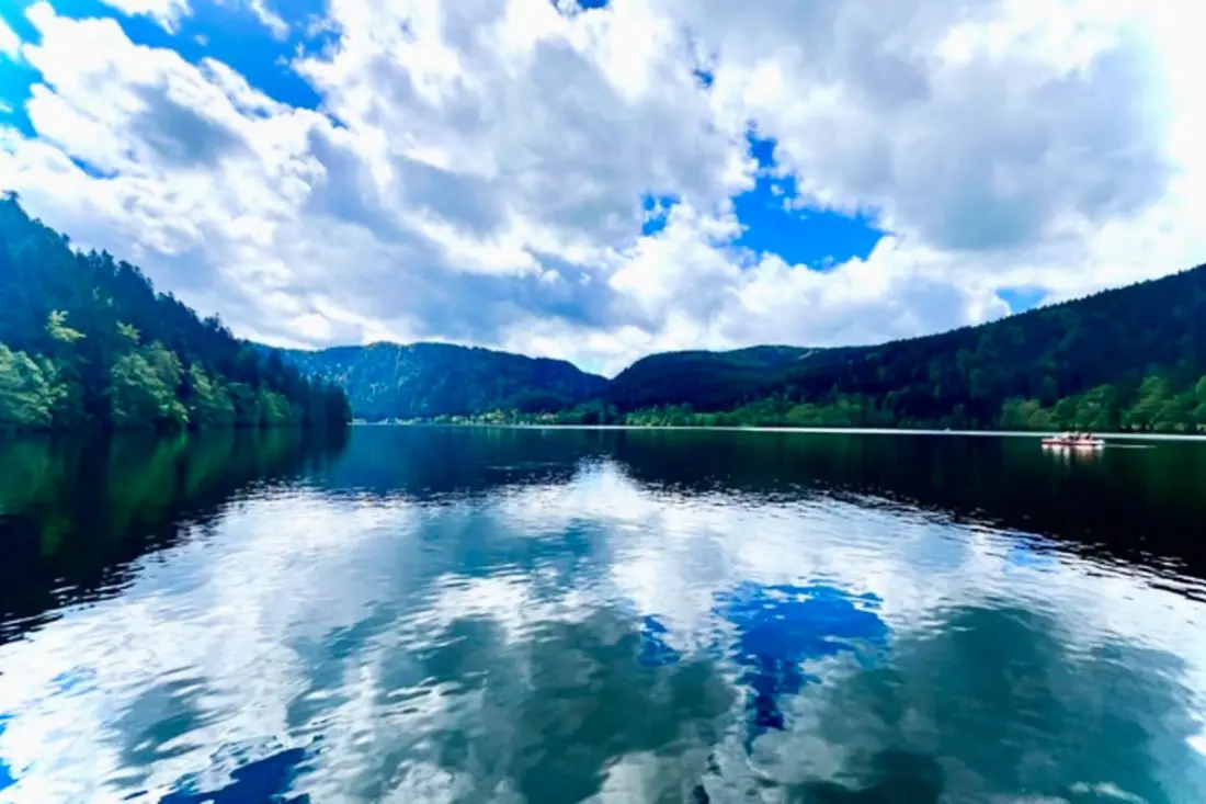 Appartement De Prestige Au Cœur De Gérardmer