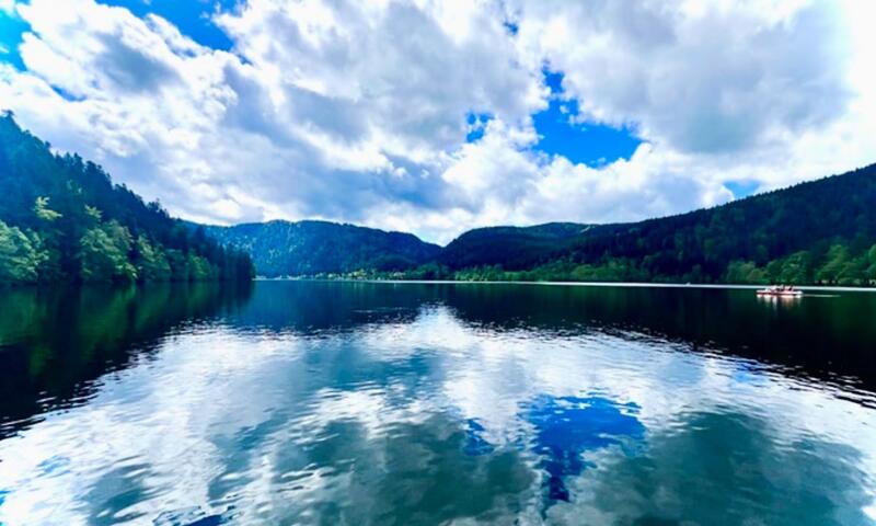 Idéale ! Maison De Vacances Rien Que Pour Vous ! - - Gérardmer - 20