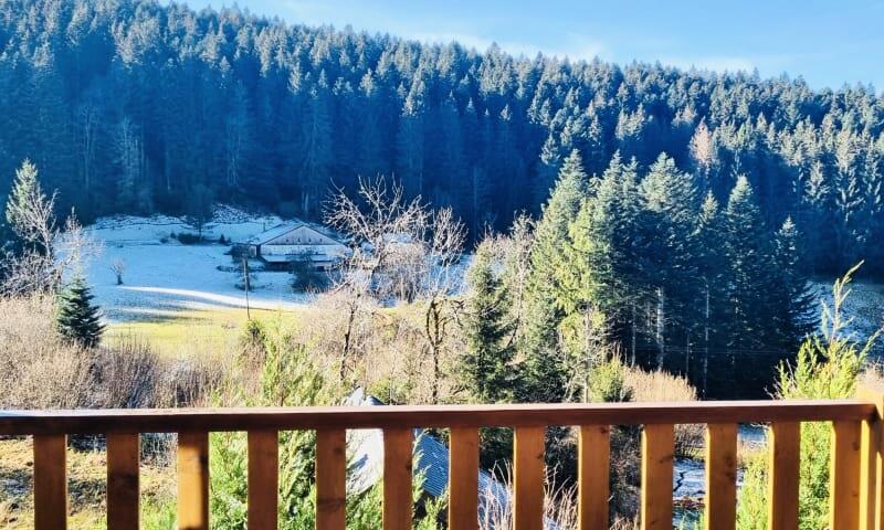 Chalet Haut De Gamme Proche Des Pistes - - Gérardmer - 10