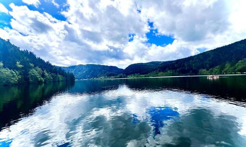 Proche Des Pistes Du Lac ! - - Gérardmer - 19