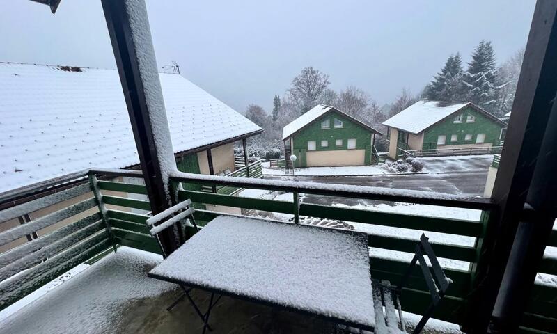 Duplex Dans Chalet Vue Gérardmer Piscine - - Gérardmer - 6