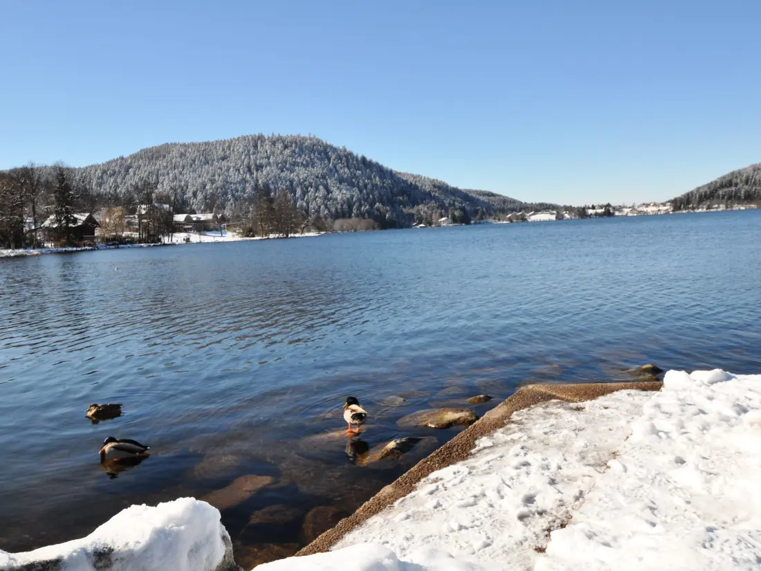 Location de Vacances GERARDMER 15