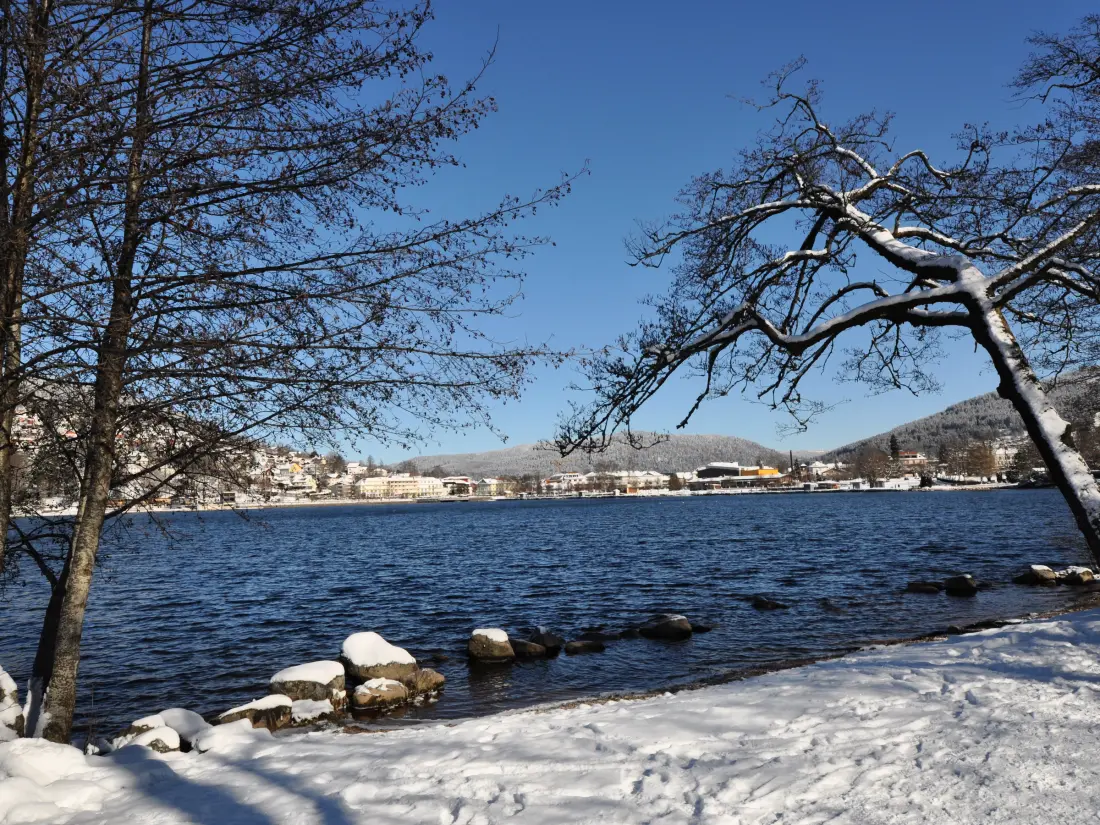 Location de Vacances GERARDMER 15