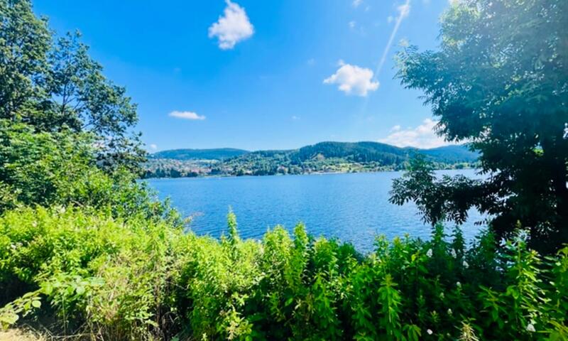 Magnifique Loft Au Pied De La Station De Ski - - Gérardmer - 8