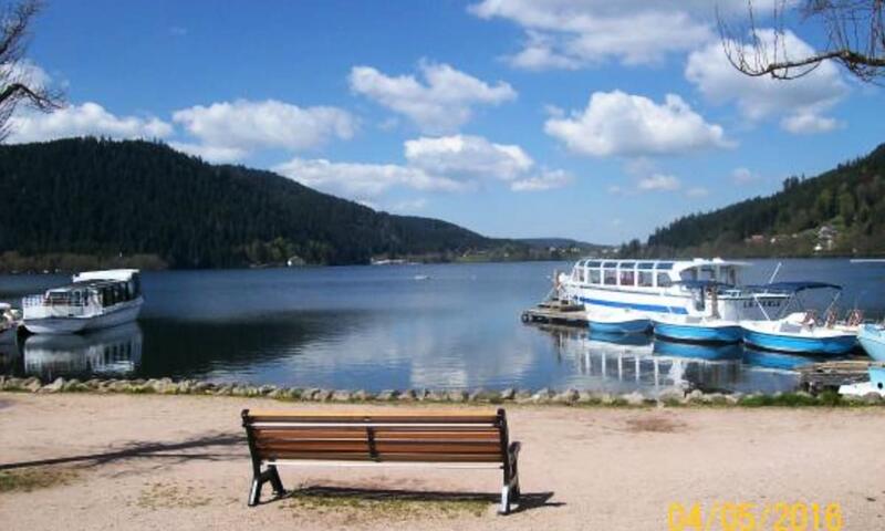Idéal ! 200 M Du Lac Et Centre-ville - - Gérardmer - 16