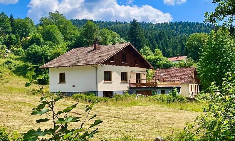 Maison Type Chalet – Sauna Et Balnéo – 14 Pers - - Gérardmer - 19