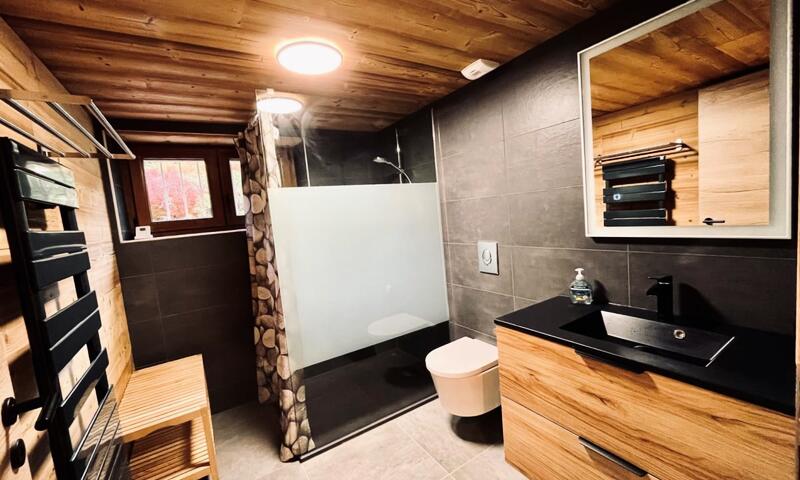 Maison Type Chalet – Sauna Et Balnéo – 14 Pers - - Gérardmer - 17