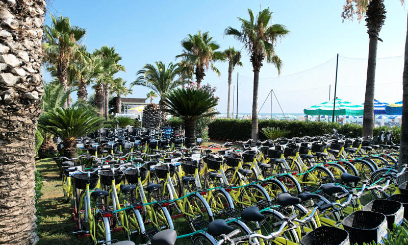 Camping Village Don Antonio - - Giulianova - 14