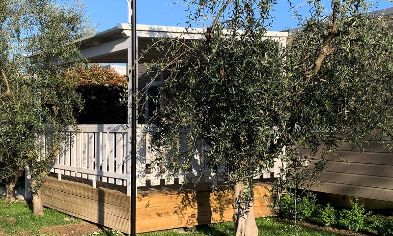 Camping Village Don Antonio - - Giulianova - 19