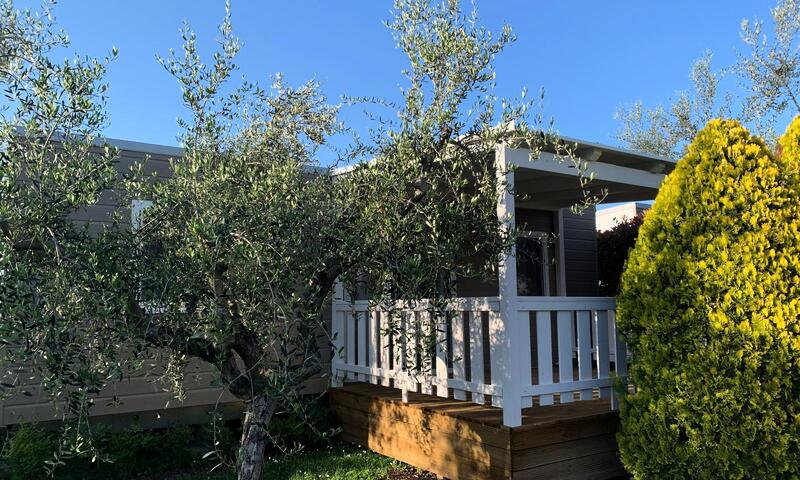 Camping Village Don Antonio - - Giulianova - 18