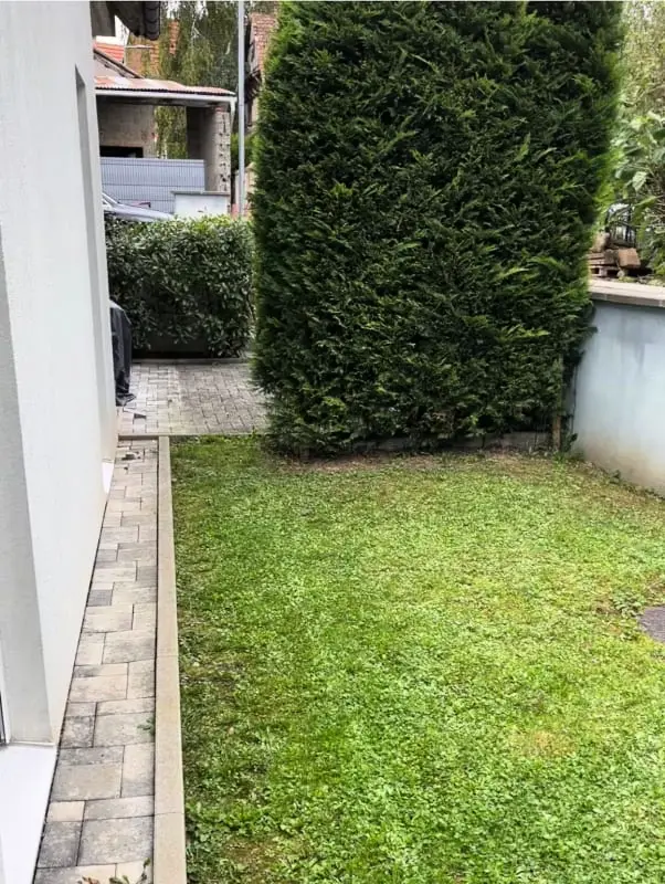 Maison Avec Piscine Privée à Gougenheim Vignoble