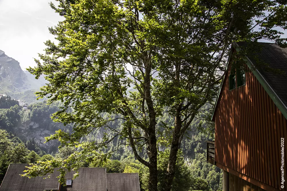 ISKÖ BaseCamp & Hôtel