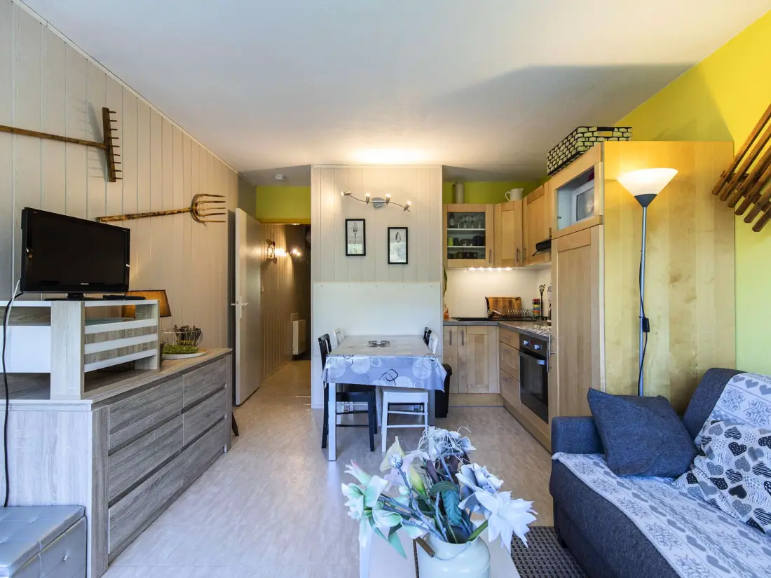 Location de Vacances Gourette 180
