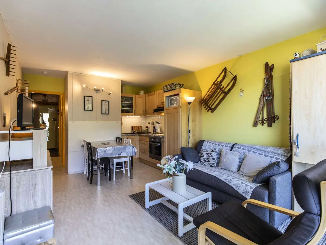 Location de Vacances Gourette 180