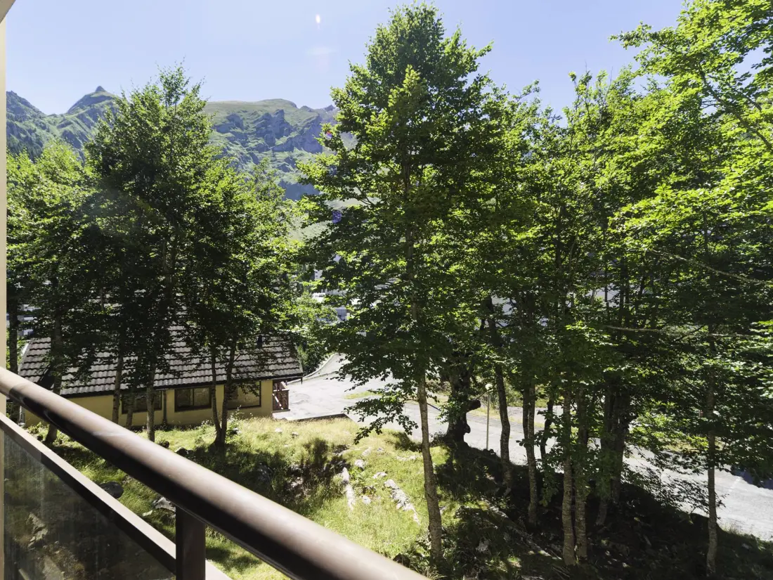 Location de Vacances Gourette 200