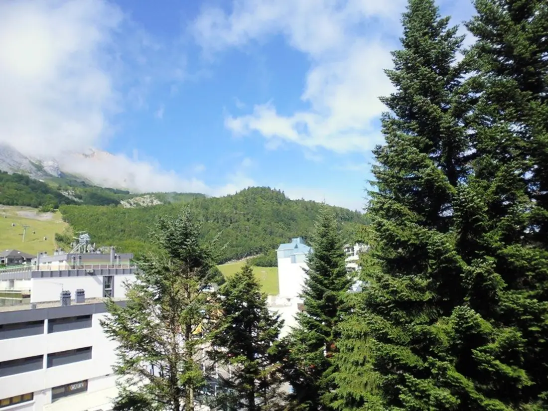 Location de Vacances Gourette 212
