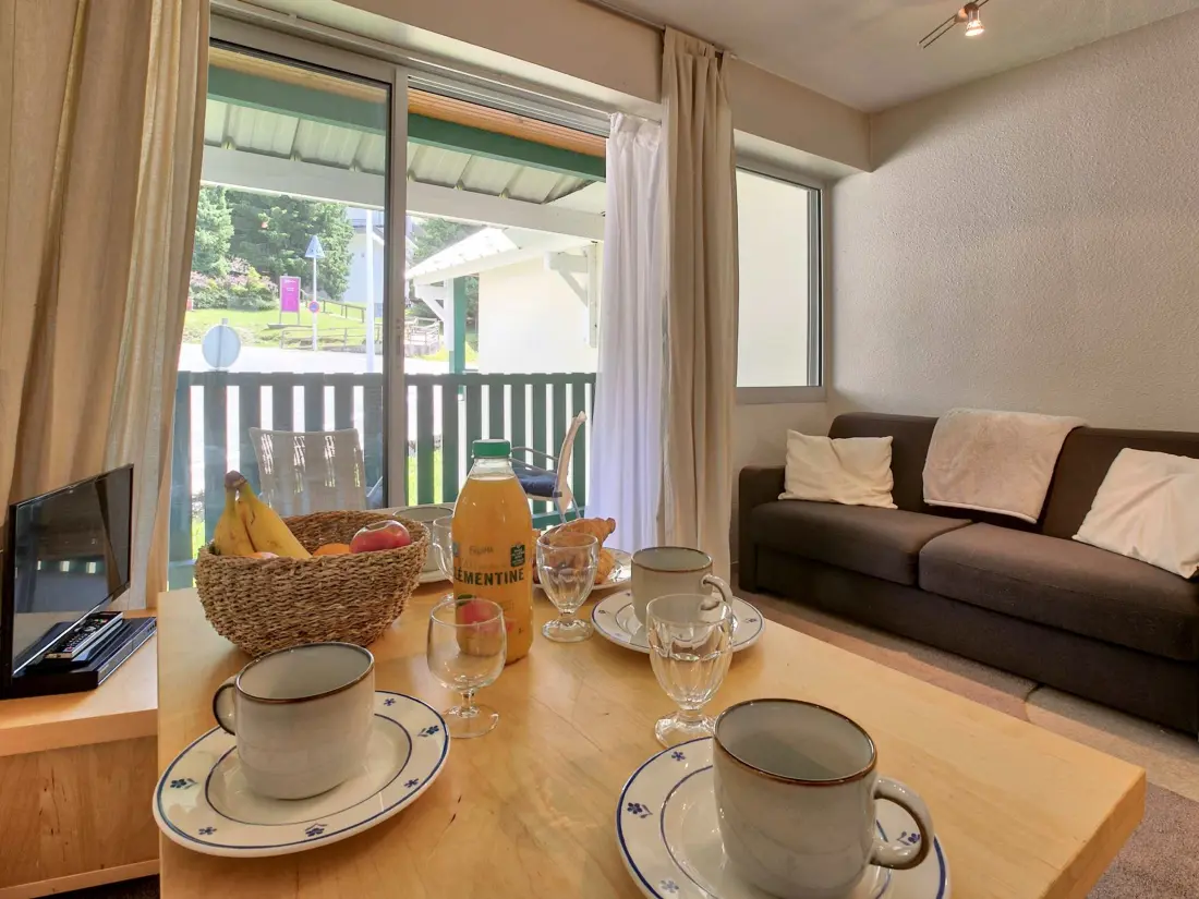 Location de Vacances Gourette 250