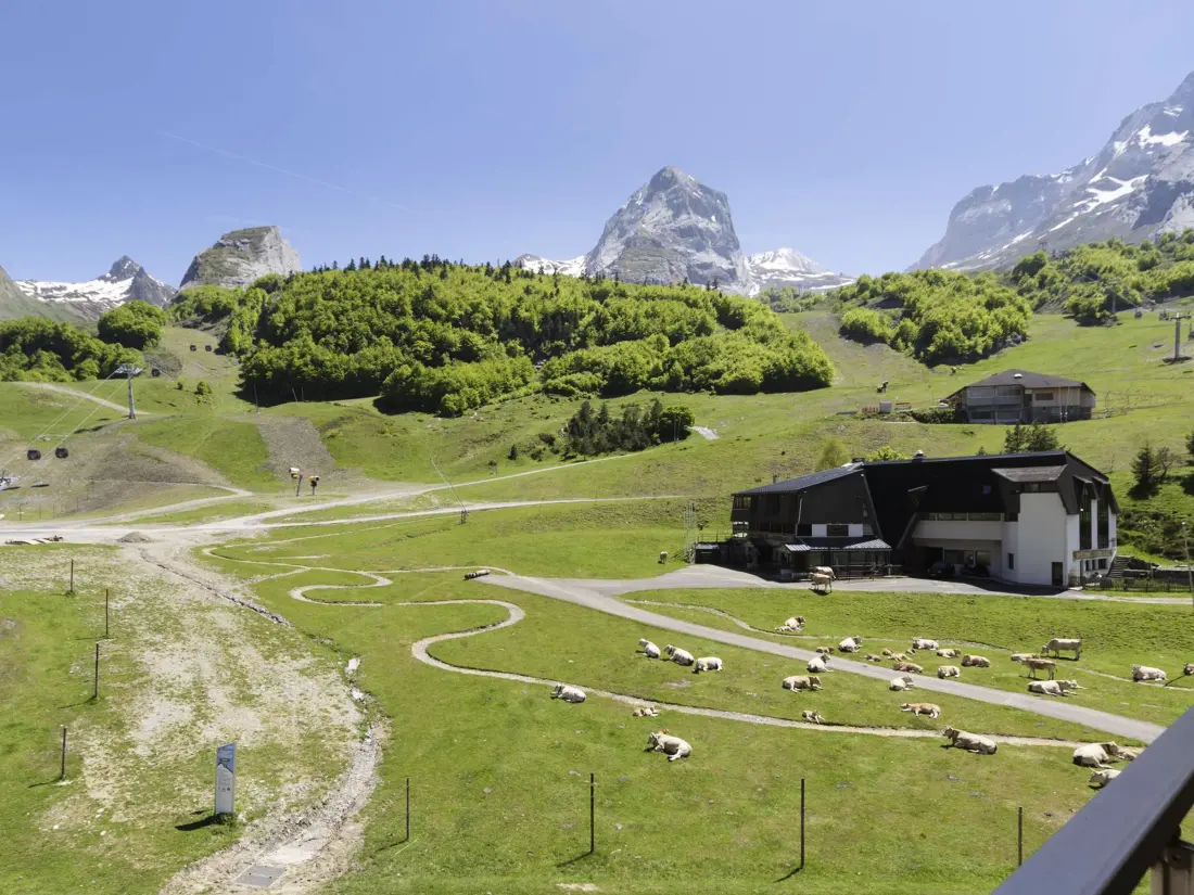 Location de Vacances Gourette 276