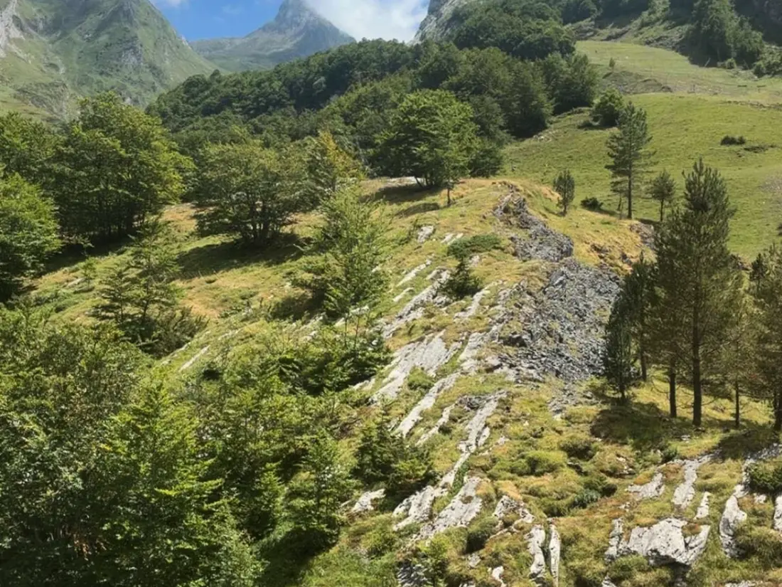 Location de Vacances Gourette 281