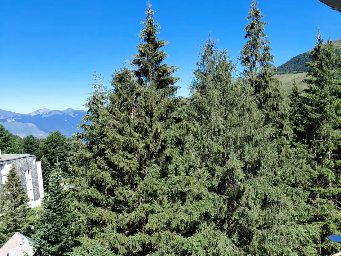 Location de Vacances Gourette 281