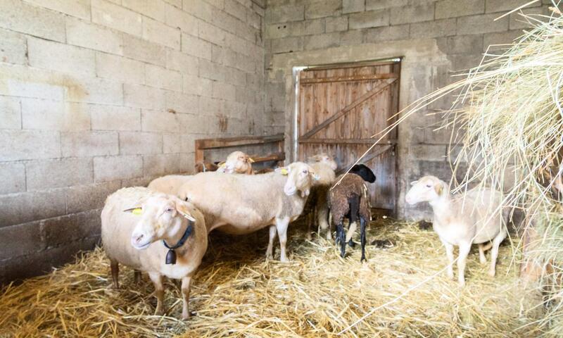 Gîte de France Gîte de la grangette 5/6 personnes 3 épis - - Grandrieu - 38