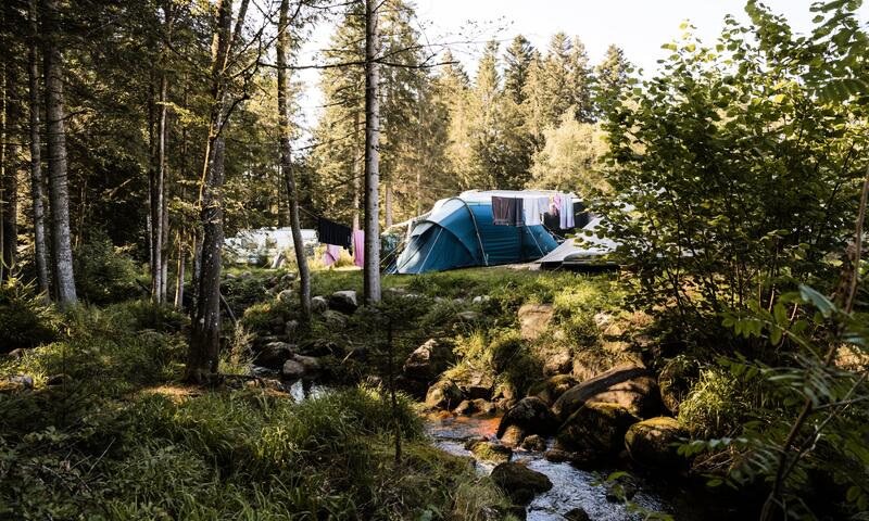 Flower Camping LA STENIOLE **** - Granges-Aumontzey - 1