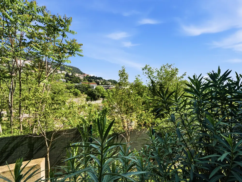 Appartements à Grasse