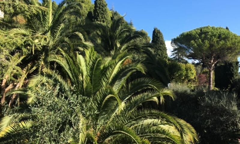 Bel Appartement 4 Chambres Vue Mer - Clim - Piscine - Tennis - Parc - - Grasse - 33
