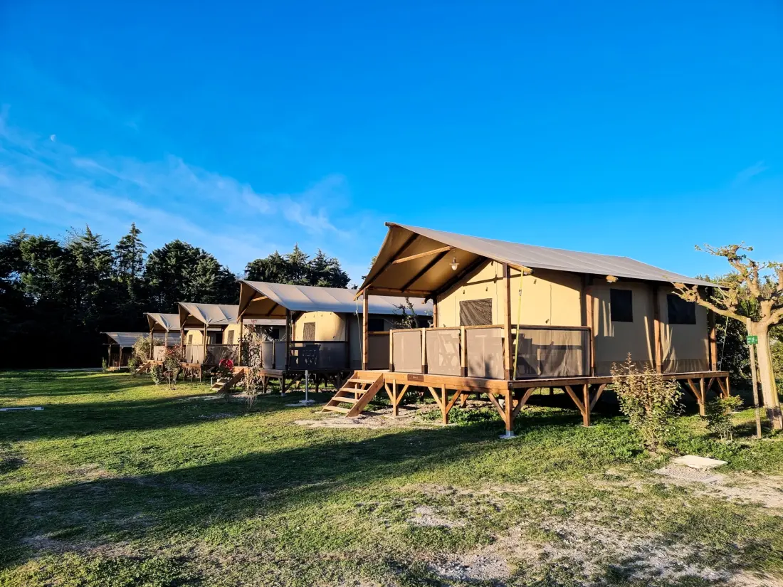 Flower Camping Les Micocouliers 3 étoiles★★★