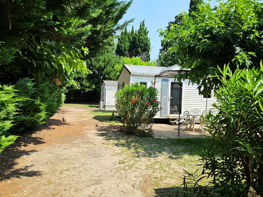 Flower Camping Les Micocouliers 3 étoiles★★★