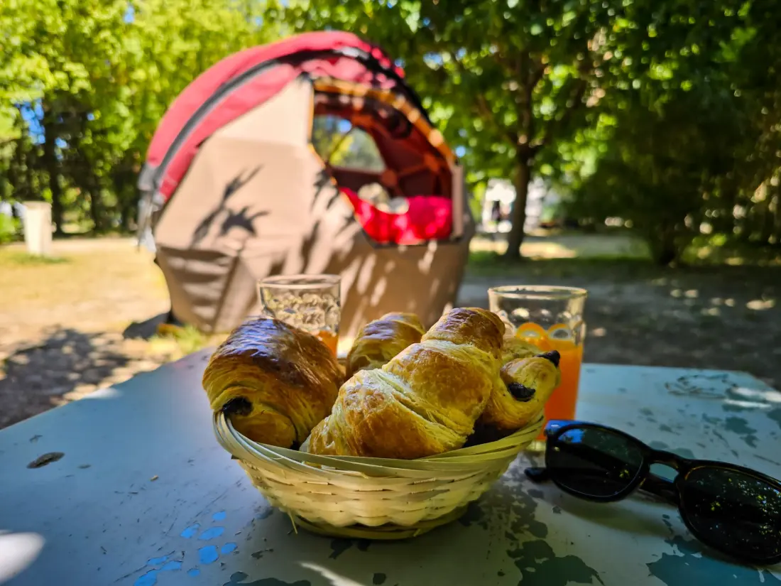 Flower Camping Les Micocouliers 3 étoiles★★★
